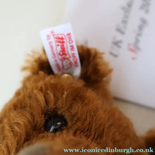 Load image into Gallery viewer, BOXED: Vintage 2004 STEIFF BEAR. Classic Brown Bear with Tags (O38938)
