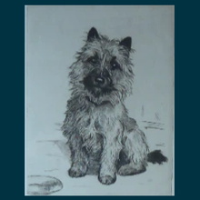 Load image into Gallery viewer, SCOTTISH ART: 1930s ORIGINAL Etching by Marion Harvey (1886 - 1971). Study of  a Cairn Terrier called Sandy
