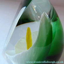 Load image into Gallery viewer, Scottish Caithness Glass Paperweight: Calla Lily by Gordon Hendry
