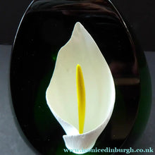 Load image into Gallery viewer, Scottish Caithness Glass Paperweight: Calla Lily by Gordon Hendry
