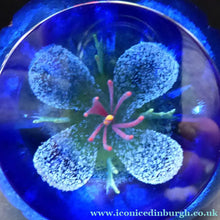 Load image into Gallery viewer, Scottish Glass. Caithness Glass Paperweight. Sapphire Chasm by Helen MacDonald
