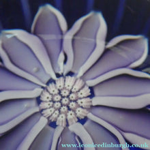 Load image into Gallery viewer, Scottish Paperweight by Peter McDougall Glass Studio. With Studio Cane on the Base with lilac lampwork flower
