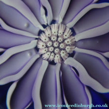 Load image into Gallery viewer, Scottish Paperweight by Peter McDougall Glass Studio. With Studio Cane on the Base with lilac lampwork flower 
