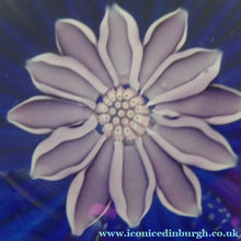 Load image into Gallery viewer, Scottish Paperweight by Peter McDougall Glass Studio. With Studio Cane on the Base with lilac lampwork flower 
