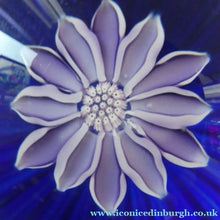 Load image into Gallery viewer, Scottish Paperweight by Peter McDougall Glass Studio. With Studio Cane on the Base with lilac lampwork flower 
