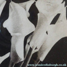 Load image into Gallery viewer, Norman McBeath Signed Photogravure Artists Proof Lilies
