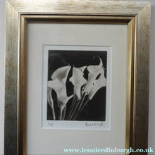Load image into Gallery viewer, Norman McBeath Signed Photogravure Artists Proof Lilies

