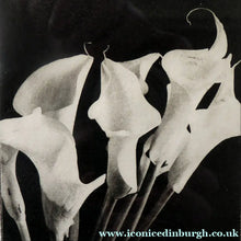 Load image into Gallery viewer, Norman McBeath Signed Photogravure Artists Proof Lilies
