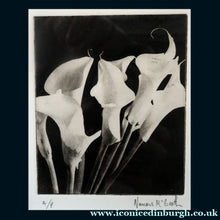 Load image into Gallery viewer, Contemporary SCOTTISH ART. Norman McBeath, RSA. Original Photogravure print. Artist's proof. Lilies. SIGNED in pencil
