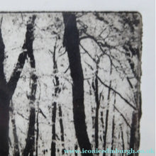 Load image into Gallery viewer, Norman McBeath Artist's Proof Photogravure. Trees in a Wood Signed
