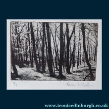Load image into Gallery viewer, Contemporary SCOTTISH ART. Norman McBeath, RSA. Original Photogravure print. Artist's proof. Trees. SIGNED in pencil
