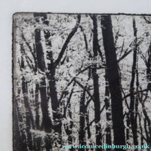Load image into Gallery viewer, Norman McBeath Artist's Proof Photogravure. Trees in a Wood Signed
