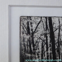 Load image into Gallery viewer, Norman McBeath Artist's Proof Photogravure. Trees in a Wood Signed
