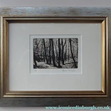 Load image into Gallery viewer, Norman McBeath Artist's Proof Photogravure. Trees in a Wood Signed
