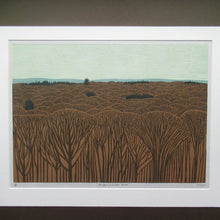 Load image into Gallery viewer, SCOTTISH ART. Colour Linocut by Robert Crozier Entitled Conifers and Other Trees. Small Edition of 8 Impressions
