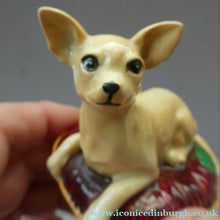 Load image into Gallery viewer, Vintage BESWICK Figurine of a Little Chihuahua Dog Lying on a Cushion
