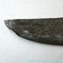 Load image into Gallery viewer, Antique Malaysian Badek with Wood, 
