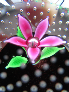 1970s Scottish Caithness Glass Paperweight Flower in the Rain