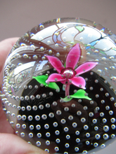 Load image into Gallery viewer, 1970s Scottish Caithness Glass Paperweight Flower in the Rain
