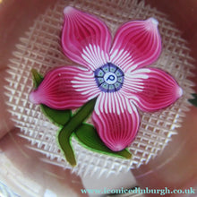 Load image into Gallery viewer, 1970s Pertshire Paperweight Stuart Drysdale Lampwork Paperwith Pink Flower BOXED
