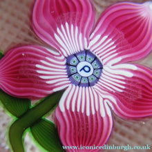 Load image into Gallery viewer, 1970s Pertshire Paperweight Stuart Drysdale Lampwork Paperwith Pink Flower BOXED
