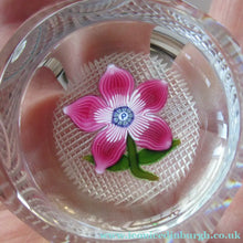 Load image into Gallery viewer, 1970s Pertshire Paperweight Stuart Drysdale Lampwork Paperwith Pink Flower BOXED
