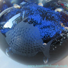Load image into Gallery viewer, 1972 Caithness Paperweight with Engraved Fish. Colin Terris Limited Edition
