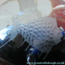 Load image into Gallery viewer, 1972 Caithness Paperweight with Engraved Fish. Colin Terris Limited Edition
