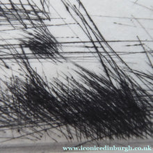 Load image into Gallery viewer, Edmund Blampied Splashing Through the Surf 1923 Drypoint Etching
