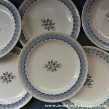 Load image into Gallery viewer, Vintage 1950s Wedgwood SIX DINNER PLATES. Persephone / Harvest Festival Pattern with Stylised Fish. 10 inches
