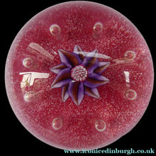 Load image into Gallery viewer, Exquisite Paul Ysart HARLAND PAPERWEIGHT; with Pink Ground,  Glitter Flowerpiece and Controlled Air Bubbles. Signed with H Cane
