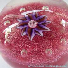 Load image into Gallery viewer, Exquisite Paul Ysart HARLAND PAPERWEIGHT; with Pink Ground,  Glitter Flowerpiece and Controlled Air Bubbles. Signed with H Cane
