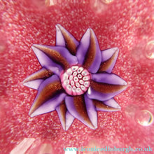 Load image into Gallery viewer, Exquisite Paul Ysart HARLAND PAPERWEIGHT; with Pink Ground,  Glitter Flowerpiece and Controlled Air Bubbles. Signed with H Cane
