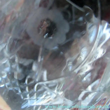 Load image into Gallery viewer, Set of Six Rogaska Long Stemmed Glasses Red Wine Crysta
