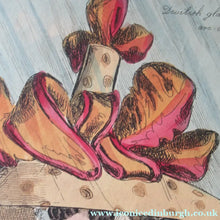 Load image into Gallery viewer, 1820s Original Georgian Print Fashion Satire on Large Hats William Heath
