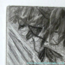 Load image into Gallery viewer, French Art: James TISSOT (1836 - 1902). The Hammock or Le Hamac (1880). Etching and Drypoint. Framed
