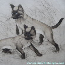 Load image into Gallery viewer, Vernon Stokes Etching Two Siamese Cats Watching a Cricket
