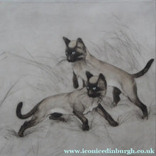 Load image into Gallery viewer, Vernon Stokes Etching Two Siamese Cats Watching a Cricket
