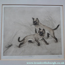 Load image into Gallery viewer, Vernon Stokes Etching Two Siamese Cats Watching a Cricket
