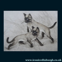 Load image into Gallery viewer, George Vernon Stokes (1873 - 1954). Vintage Etching of Two Siamese Cats Watching a Cricket. Pencil Signed
