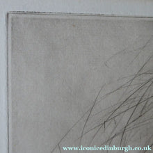 Load image into Gallery viewer, Vernon Stokes Etching Two Siamese Cats Watching a Cricket

