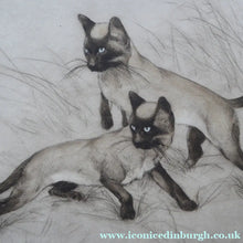 Load image into Gallery viewer, Vernon Stokes Etching Two Siamese Cats Watching a Cricket
