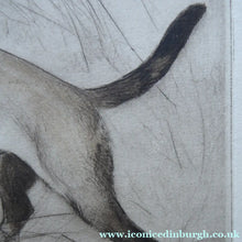 Load image into Gallery viewer, Vernon Stokes Etching Two Siamese Cats Watching a Cricket
