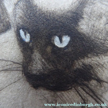 Load image into Gallery viewer, Vernon Stokes Etching Two Siamese Cats Watching a Cricket
