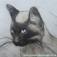 Load image into Gallery viewer, Vernon Stokes Etching Two Siamese Cats Watching a Cricket
