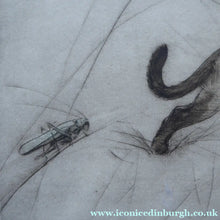 Load image into Gallery viewer, Vernon Stokes Etching Two Siamese Cats Watching a Cricket
