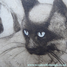 Load image into Gallery viewer, Vernon Stokes Etching Two Siamese Cats Watching a Cricket
