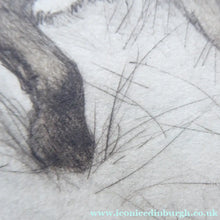 Load image into Gallery viewer, Vernon Stokes Etching Two Siamese Cats Watching a Cricket
