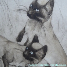 Load image into Gallery viewer, Vernon Stokes Etching Two Siamese Cats Watching a Cricket
