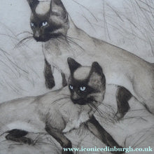 Load image into Gallery viewer, Vernon Stokes Etching Two Siamese Cats Watching a Cricket
